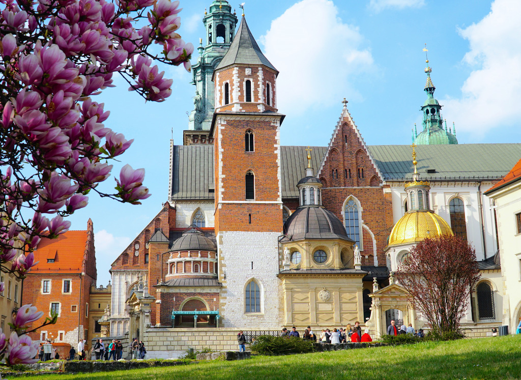 Wawel Royal Castle, Krakow, Poland jigsaw puzzle in Castles puzzles on TheJigsawPuzzles.com