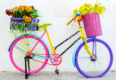 Flower Bicycle