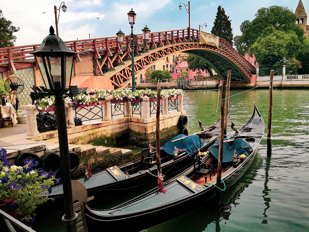 Ponte dell'Accademia, Venice jigsaw puzzle in Bridges puzzles on TheJigsawPuzzles.com