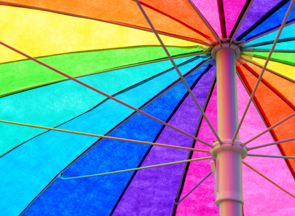 Rainbow Umbrella jigsaw puzzle in Macro puzzles on TheJigsawPuzzles.com