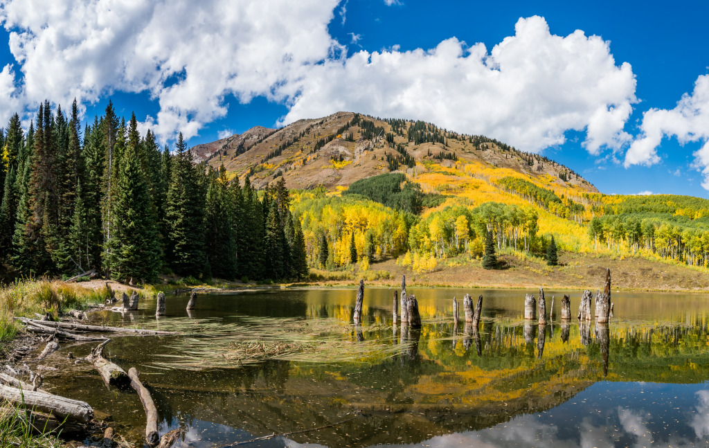 Beaver Ponds, Crested Butte, Colorado jigsaw puzzle in Great Sightings puzzles on TheJigsawPuzzles.com