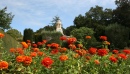 Fall Gardens at Filoli