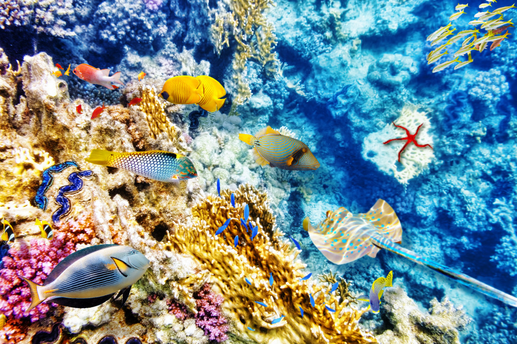 Beautiful Underwater World jigsaw puzzle in Under the Sea puzzles on TheJigsawPuzzles.com