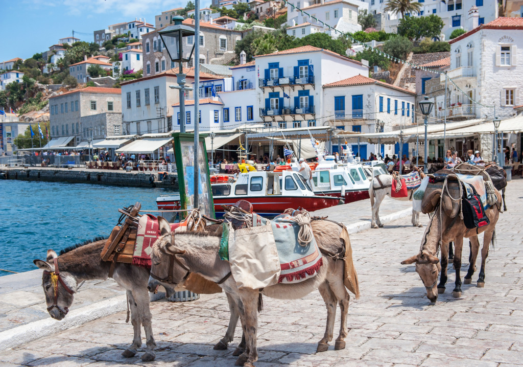 Donkeys in Hydra, Greece jigsaw puzzle in Animals puzzles on TheJigsawPuzzles.com