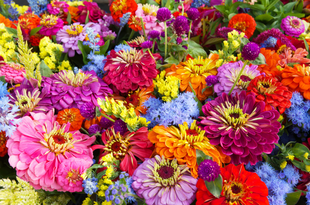 Fresh Summer Flowers jigsaw puzzle in Flowers puzzles on TheJigsawPuzzles.com