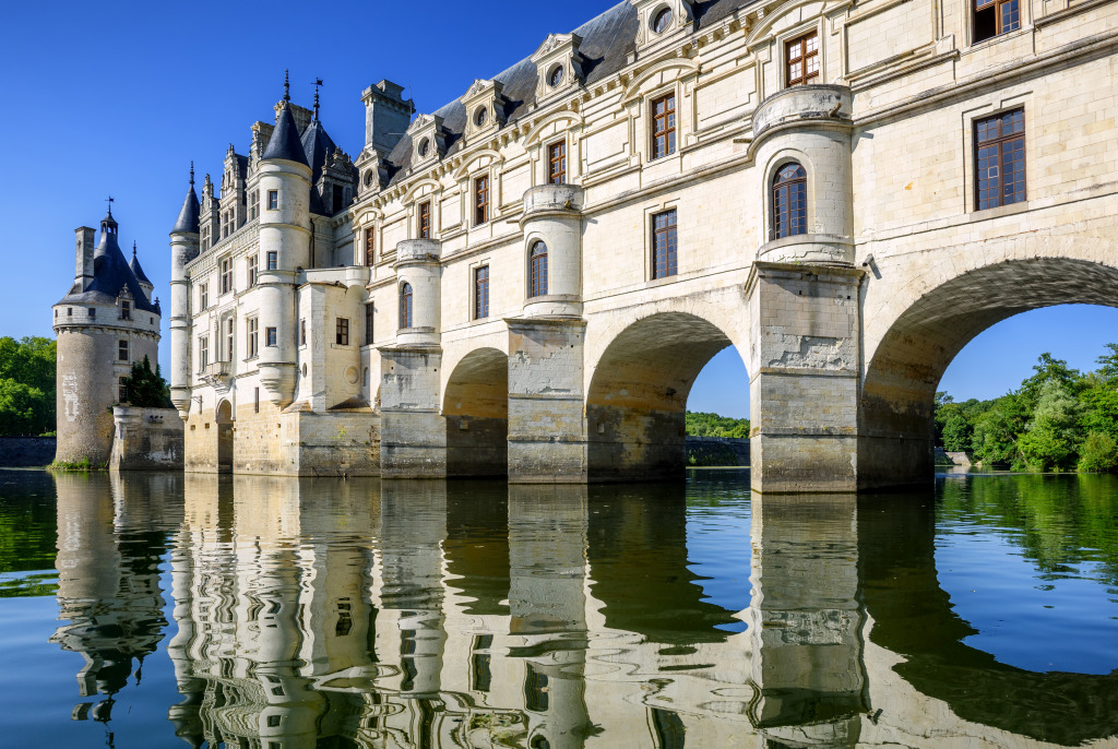 Chateau de Chenonceau, France jigsaw puzzle in Castles puzzles on TheJigsawPuzzles.com