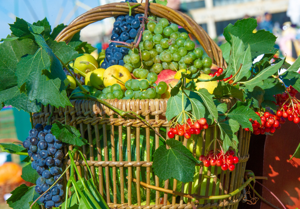 Basket of Fruits jigsaw puzzle in Fruits & Veggies puzzles on TheJigsawPuzzles.com