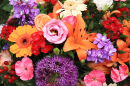 Mixed Flower Arrangement