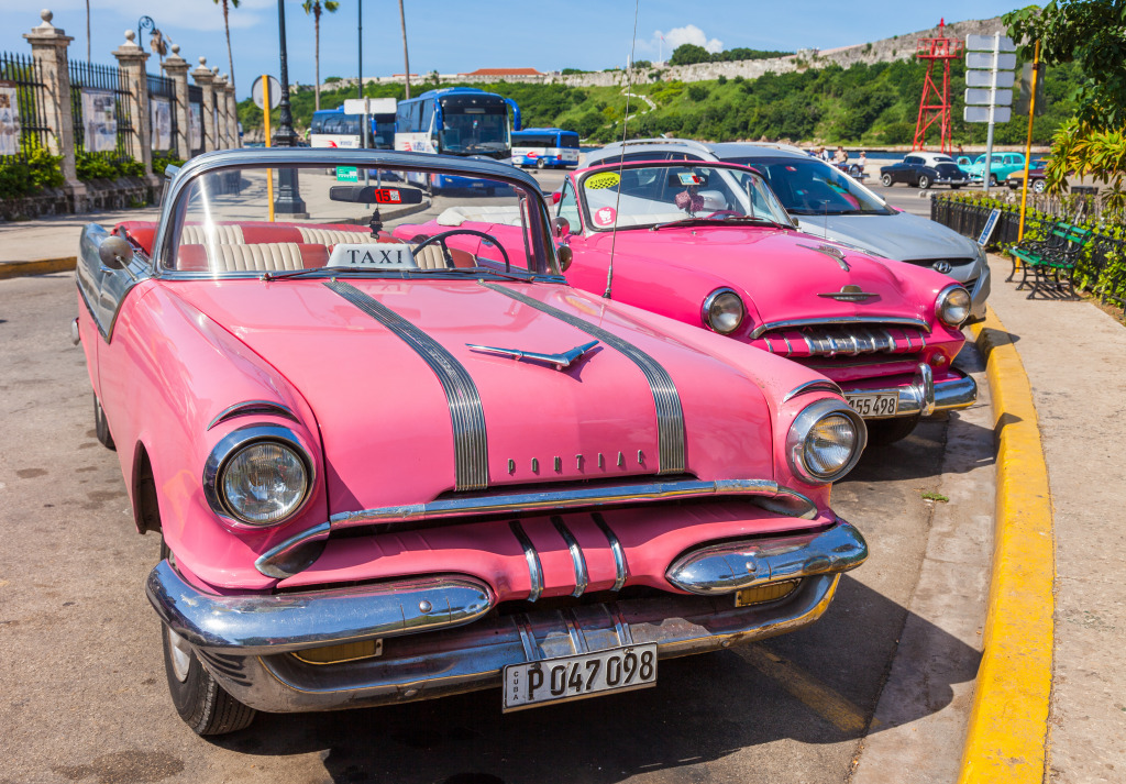 Taxis in Havana, Cuba jigsaw puzzle in Cars & Bikes puzzles on TheJigsawPuzzles.com