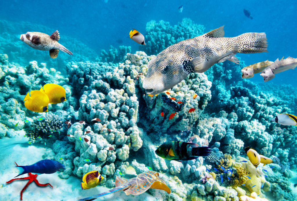 Wonderful Underwater World jigsaw puzzle in Under the Sea puzzles on TheJigsawPuzzles.com