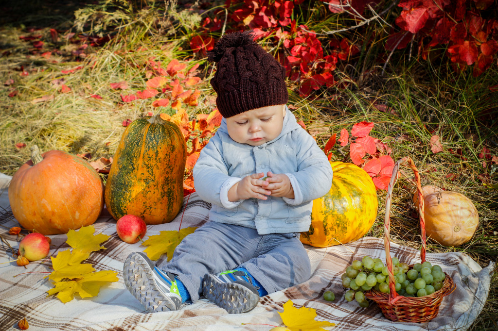 Kid in the Autumn Garden jigsaw puzzle in People puzzles on TheJigsawPuzzles.com