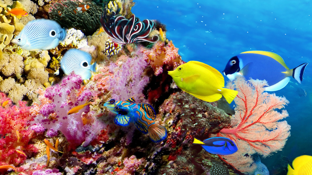 Marine Life Panorama jigsaw puzzle in Under the Sea puzzles on TheJigsawPuzzles.com