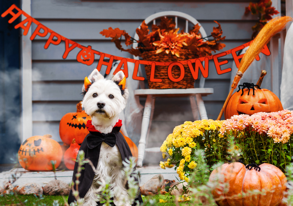 West Highland White Terrier jigsaw puzzle in Animals puzzles on TheJigsawPuzzles.com