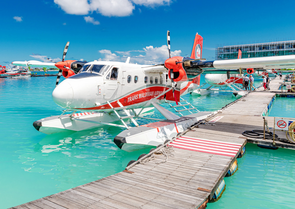 Trans Maldivian Airways Seaplane jigsaw puzzle in Aviation puzzles on TheJigsawPuzzles.com