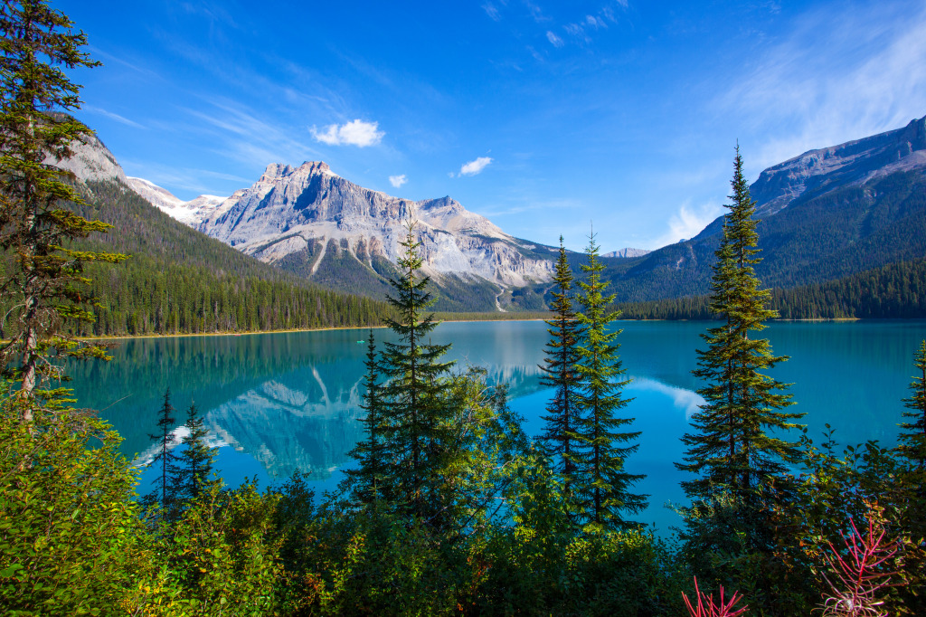 Emerald Lake, Banff National Park, Canada jigsaw puzzle in Great Sightings puzzles on TheJigsawPuzzles.com