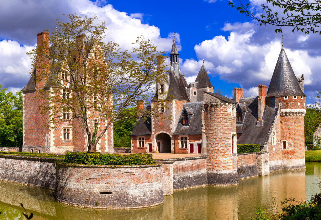 Chateau Du Moulin, Loire Valley, France jigsaw puzzle in Castles puzzles on TheJigsawPuzzles.com