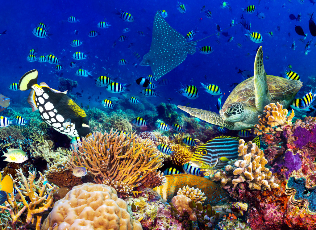 Coral Reef Landscape jigsaw puzzle in Under the Sea puzzles on TheJigsawPuzzles.com