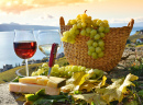 Vineyard in Lavaux, Switzerland