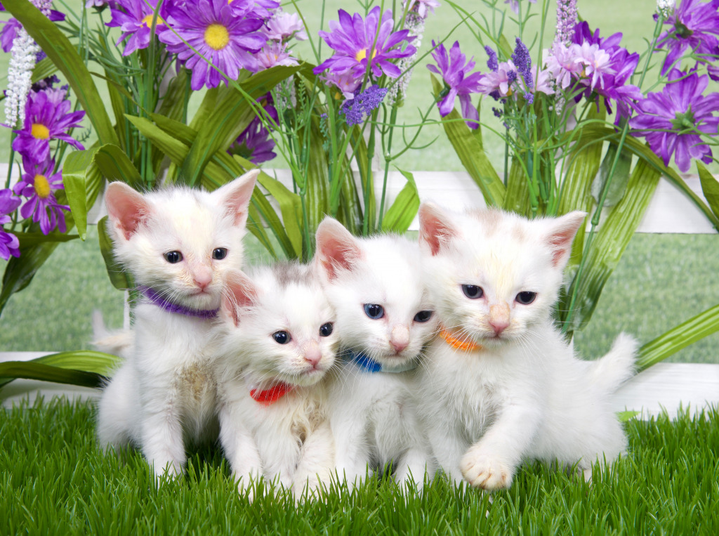 Four Little Kittens jigsaw puzzle in Animals puzzles on TheJigsawPuzzles.com