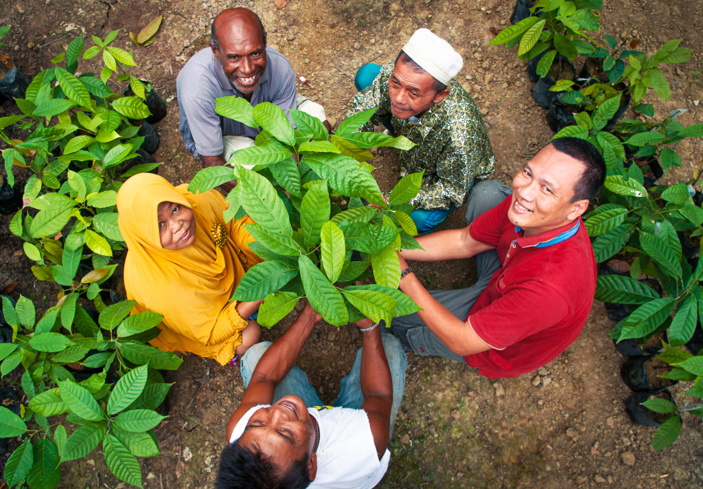 Cocoa Farmers in Jayapura, Indonesia jigsaw puzzle in People puzzles on TheJigsawPuzzles.com