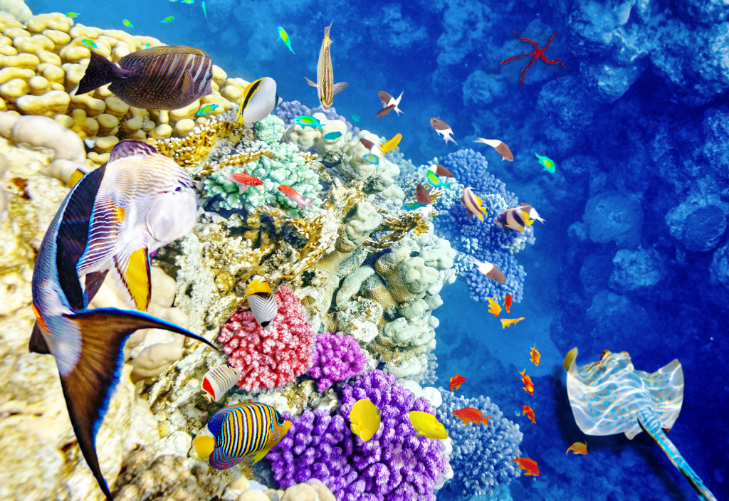 Corals and Tropical Fish jigsaw puzzle in Under the Sea puzzles on TheJigsawPuzzles.com