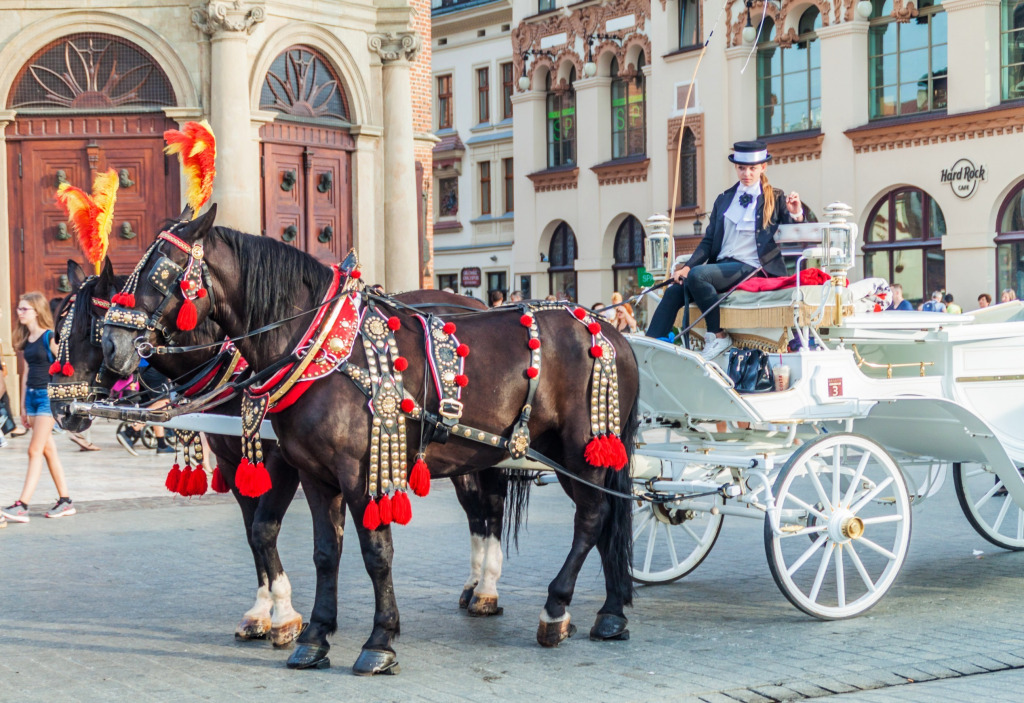 Horse Carriage in Krakow, Poland jigsaw puzzle in Animals puzzles on TheJigsawPuzzles.com