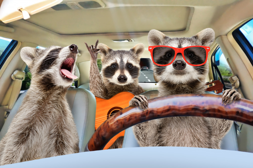 Raccoons on Vacation jigsaw puzzle in Animals puzzles on TheJigsawPuzzles.com