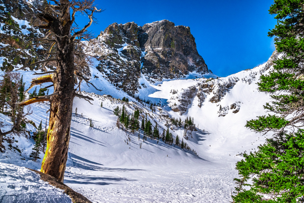 Dream Lake, Estes Park, Colorado jigsaw puzzle in Great Sightings puzzles on TheJigsawPuzzles.com