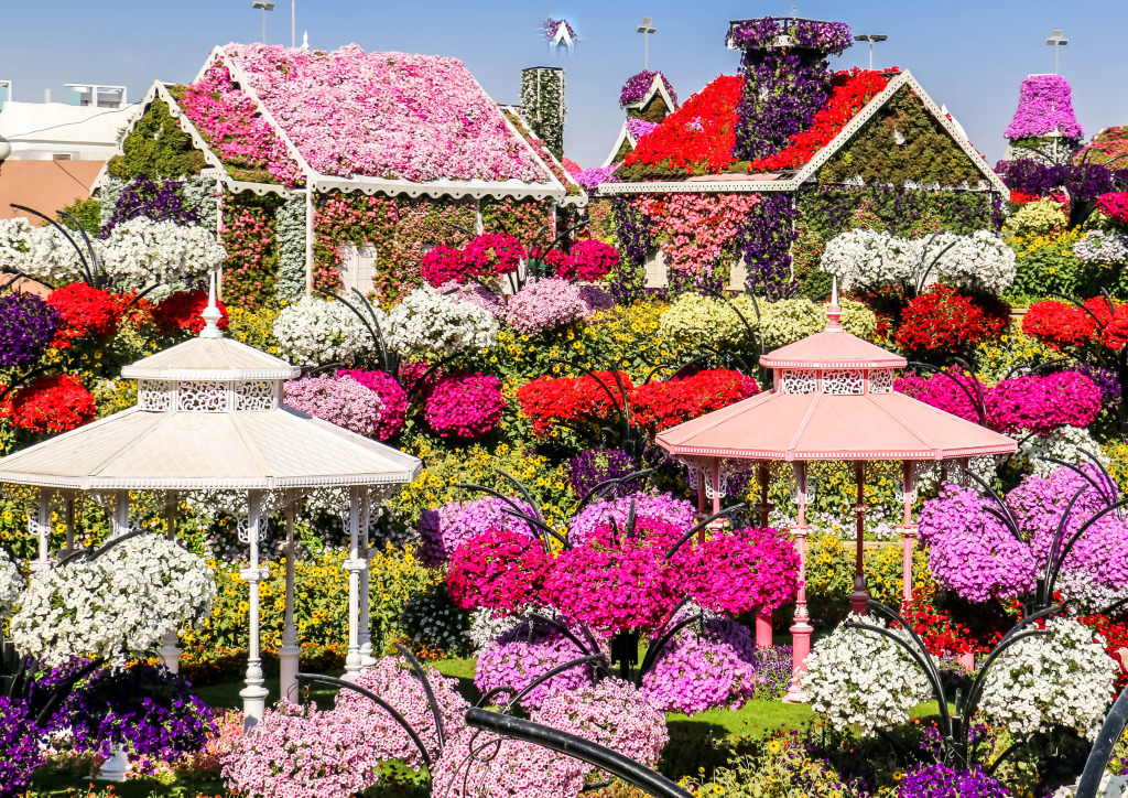 Miracle Flower Garden in Dubai jigsaw puzzle in Flowers puzzles on TheJigsawPuzzles.com