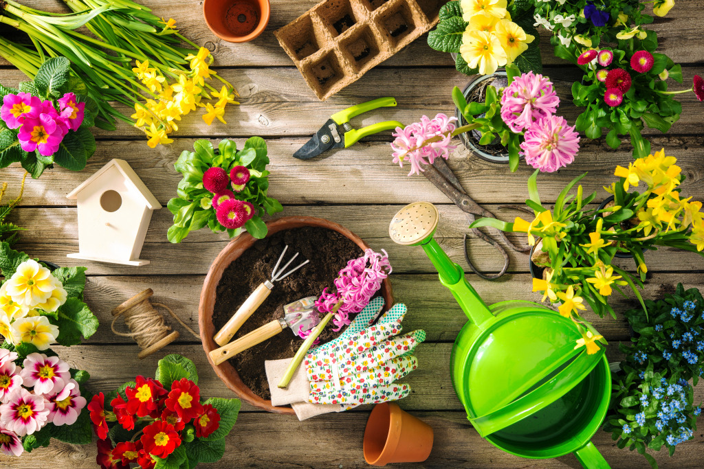 Gardening Tools and Spring Flowers jigsaw puzzle in Puzzle of the Day puzzles on TheJigsawPuzzles.com