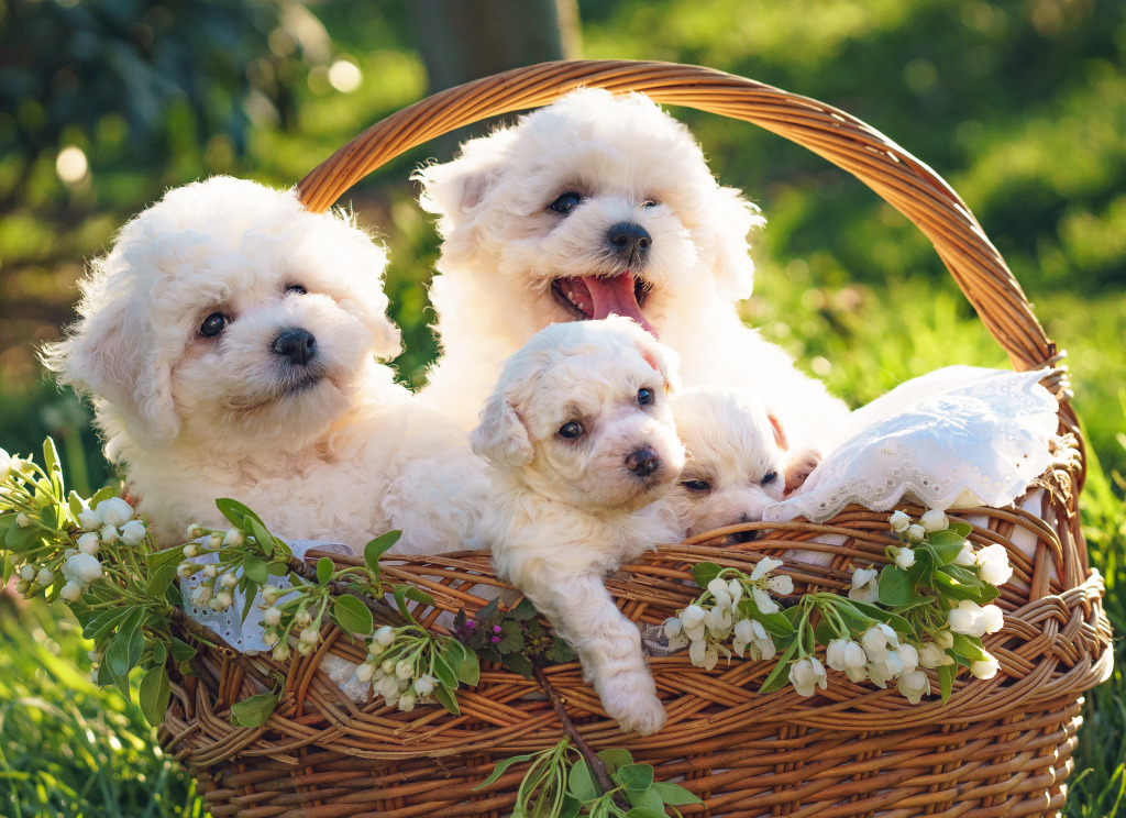 Basket of Puppies jigsaw puzzle in Animals puzzles on TheJigsawPuzzles.com