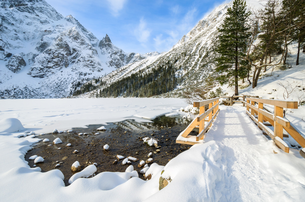 Morskie Oko Lake, High Tatra Mountains, Poland jigsaw puzzle in Bridges puzzles on TheJigsawPuzzles.com