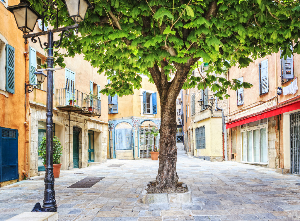 Place Etienne Roustan, Grasse, France jigsaw puzzle in Street View puzzles on TheJigsawPuzzles.com