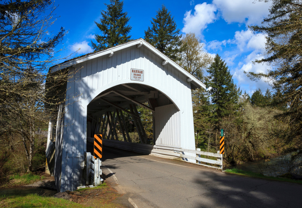 Hannah Bridge, Oregon, USA jigsaw puzzle in Bridges puzzles on TheJigsawPuzzles.com