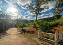 Thailand Countryside