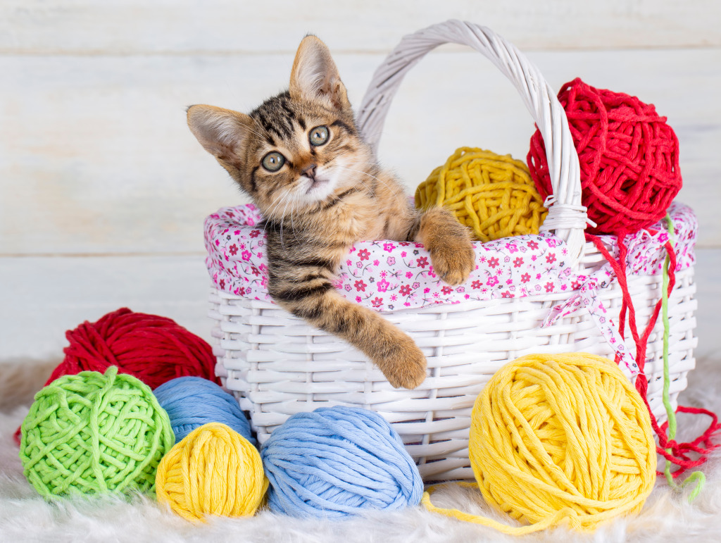 Tabby Kitten with Yarn Balls jigsaw puzzle in Macro puzzles on TheJigsawPuzzles.com