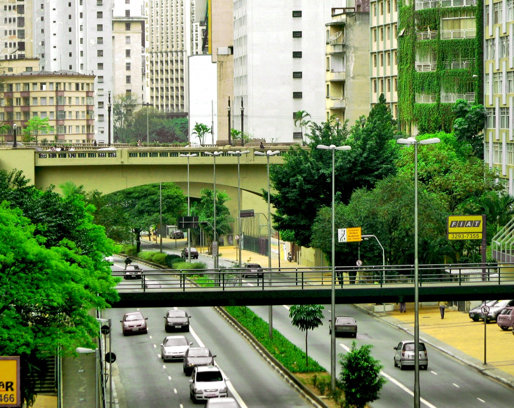 Sao Paulo, Brazil jigsaw puzzle in Bridges puzzles on TheJigsawPuzzles.com