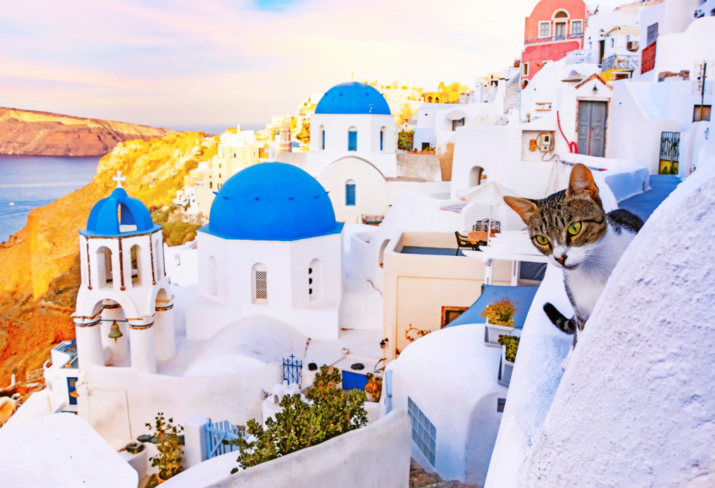 Cat in Oia Village, Santorini, Greece jigsaw puzzle in Animals puzzles on TheJigsawPuzzles.com