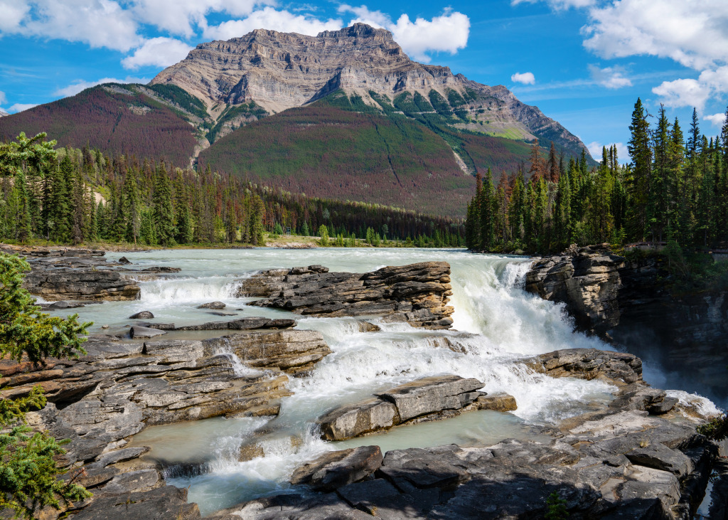 Athabasca Falls, Jasper NP, Canada jigsaw puzzle in Waterfalls puzzles on TheJigsawPuzzles.com