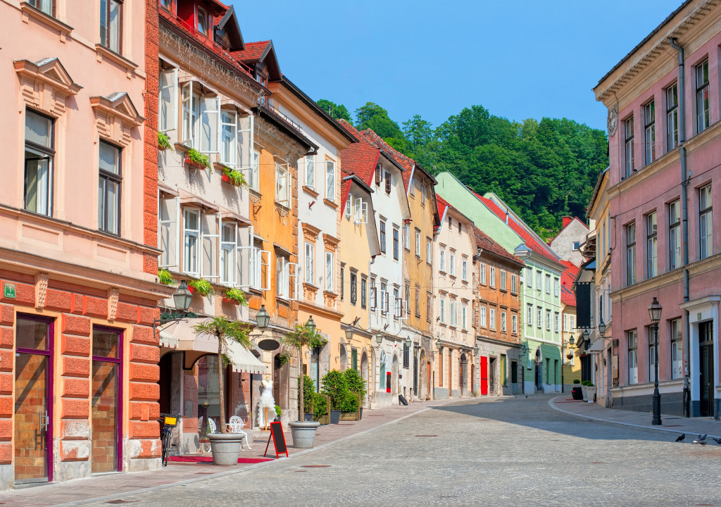 Old City Center of Ljubljana, Slovenia jigsaw puzzle in Street View puzzles on TheJigsawPuzzles.com