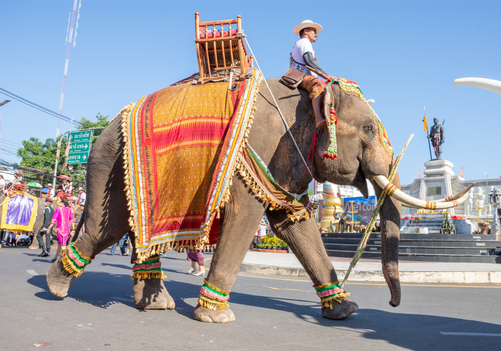 Surin Elephant Round-Up Festival, Thailand jigsaw puzzle in Animals puzzles on TheJigsawPuzzles.com