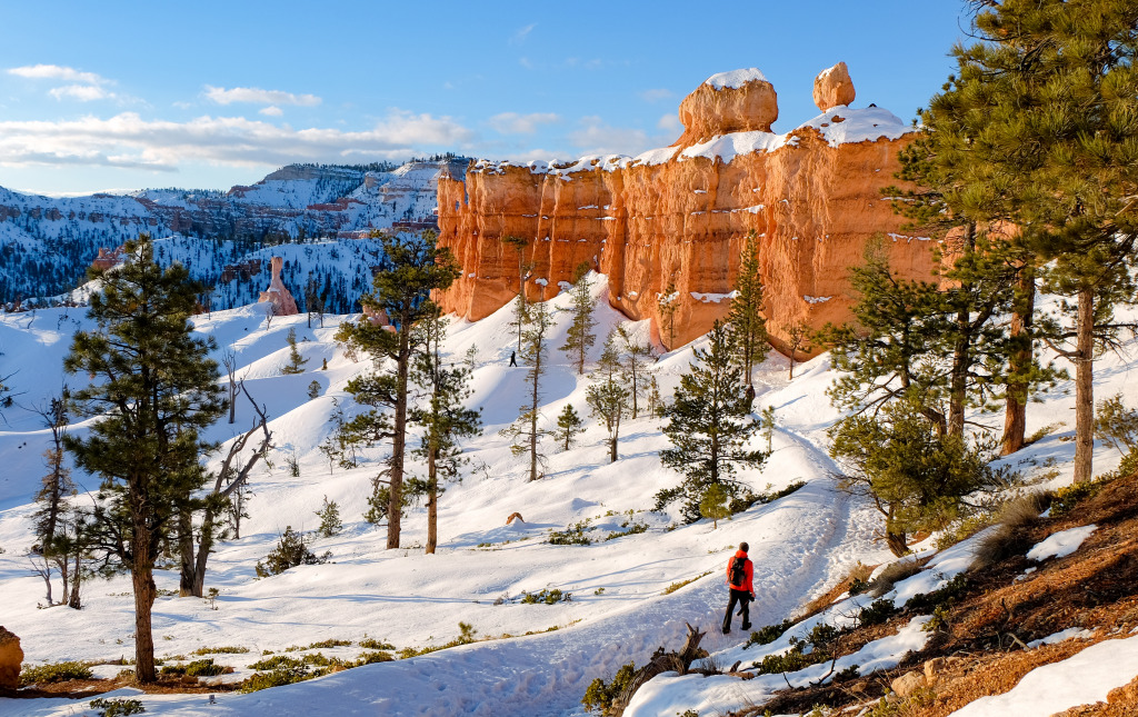 Bryce Canyon National Park, Utah jigsaw puzzle in Great Sightings puzzles on TheJigsawPuzzles.com