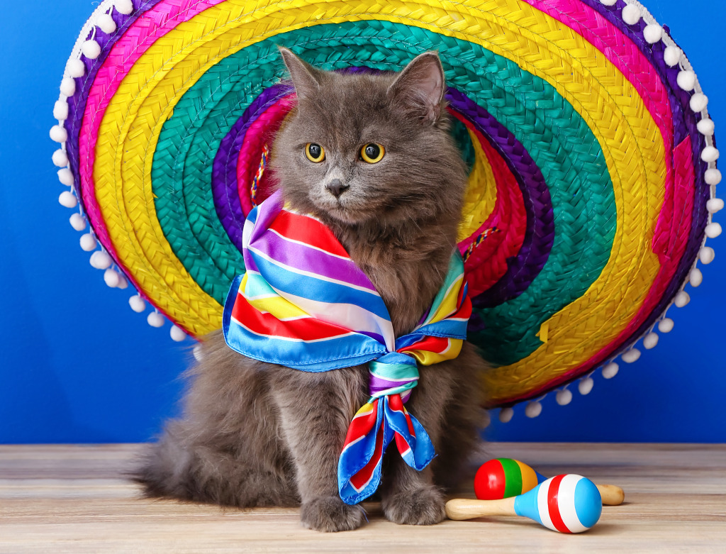 Sombrero Cat jigsaw puzzle in Animals puzzles on TheJigsawPuzzles.com