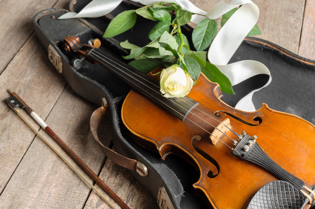 Violin and Rose jigsaw puzzle in Macro puzzles on TheJigsawPuzzles.com
