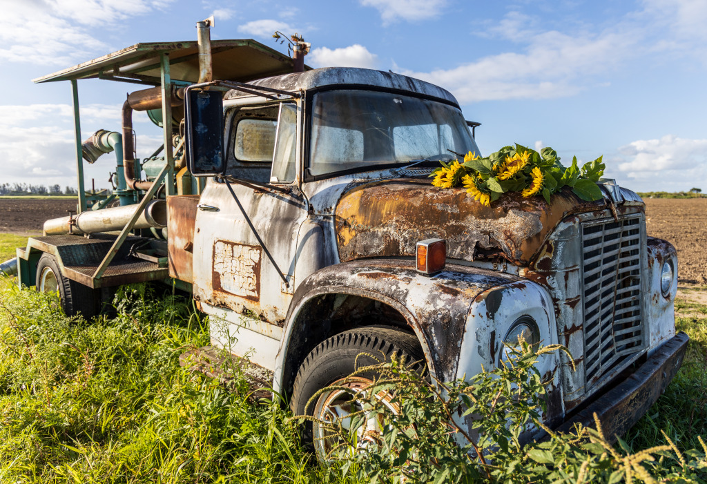 Abandoned Truck in Florida jigsaw puzzle in Cars & Bikes puzzles on TheJigsawPuzzles.com