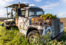 Abandoned Truck in Florida