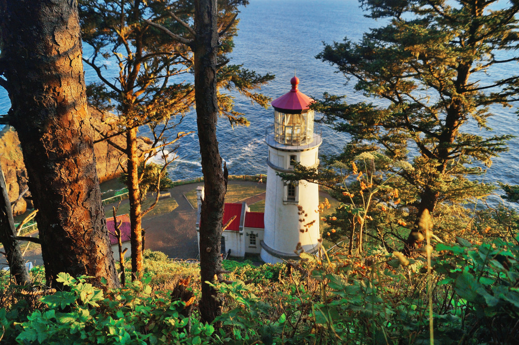 Lighthouse at the Oregon Coast jigsaw puzzle in Great Sightings puzzles on TheJigsawPuzzles.com