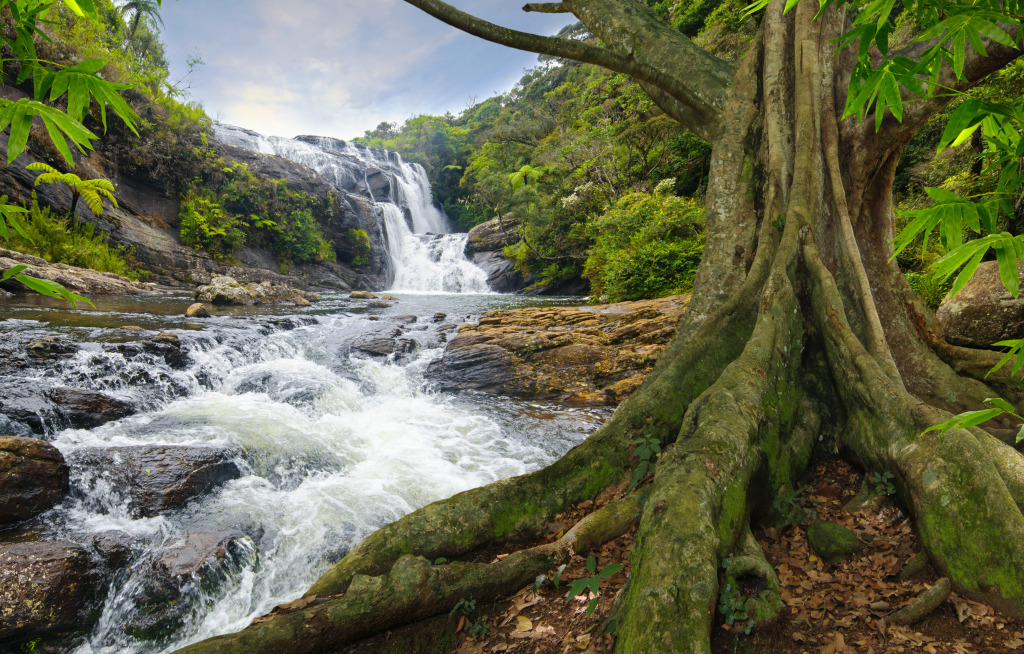 Waterfall in Myanmar jigsaw puzzle in Waterfalls puzzles on TheJigsawPuzzles.com