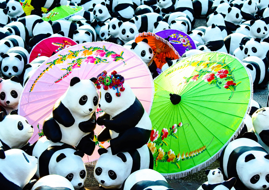 Pandas World Tour, Chiangmai, Thailand jigsaw puzzle in Animals puzzles on TheJigsawPuzzles.com