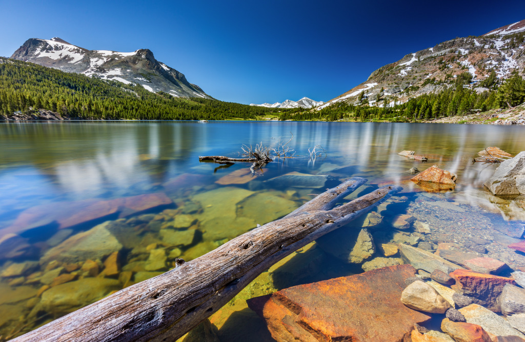 Tioga Lake and Mt. Dana, California jigsaw puzzle in Great Sightings puzzles on TheJigsawPuzzles.com